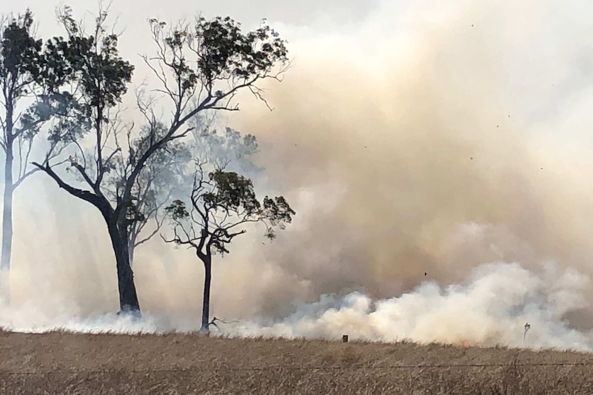 Thick smoke billows around trees, with a dry paddock and barbed wire in the foreground.