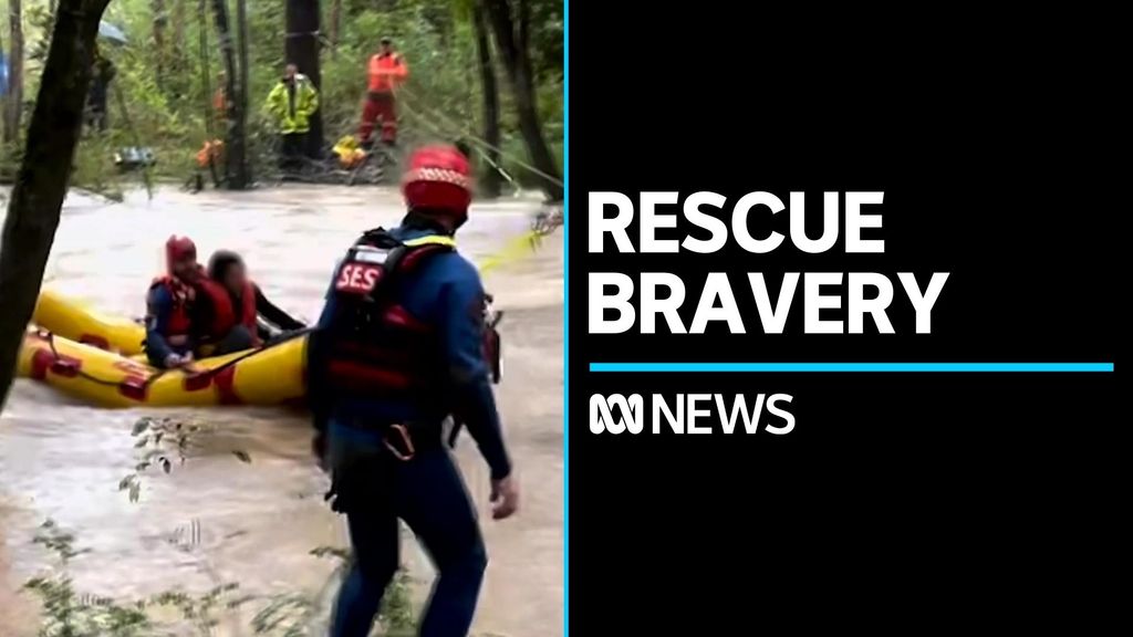 Another day of one dangerous rescue after another - ABC News