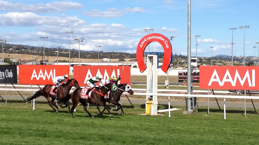 2012 Launceston Cup