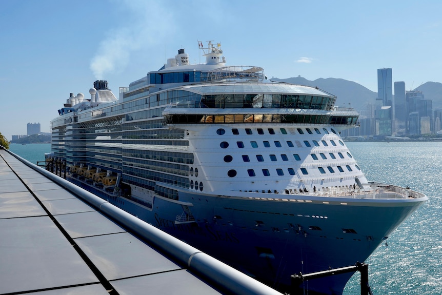 A cruise ship docked at a port