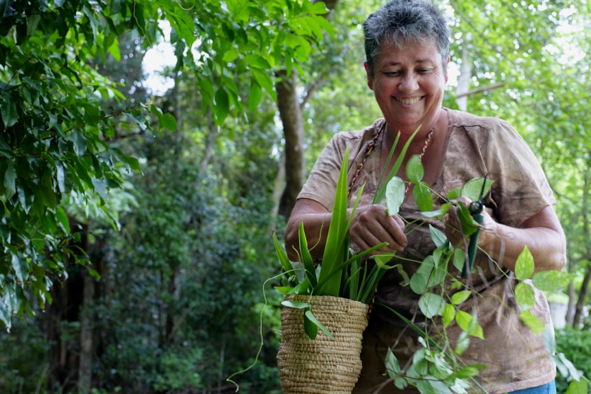 a woman with a woven basket around her neck picks vine from a tree