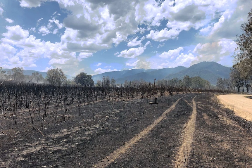 A paddock is blackened by fire in central Queensland. Smoke can be seen in the distant mountains.