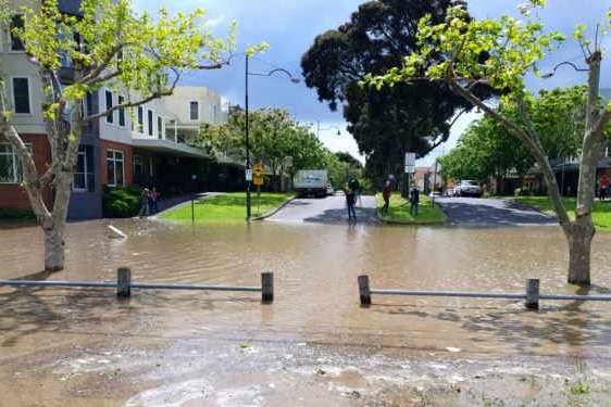 A flooded road surrounded by trees and buildings.