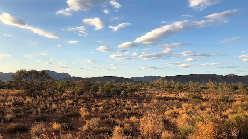 The scrub, hills and sky of Central Australia