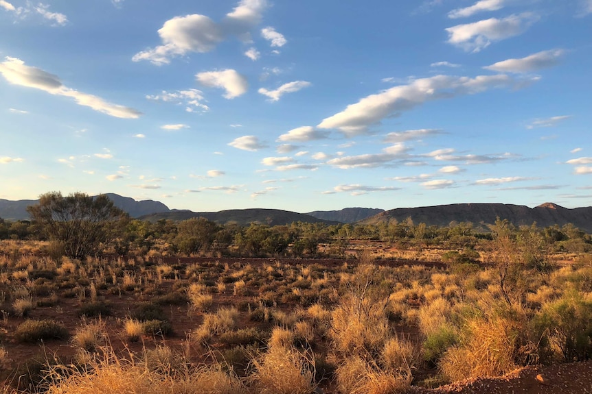 The scrub, hills and sky of Central Australia