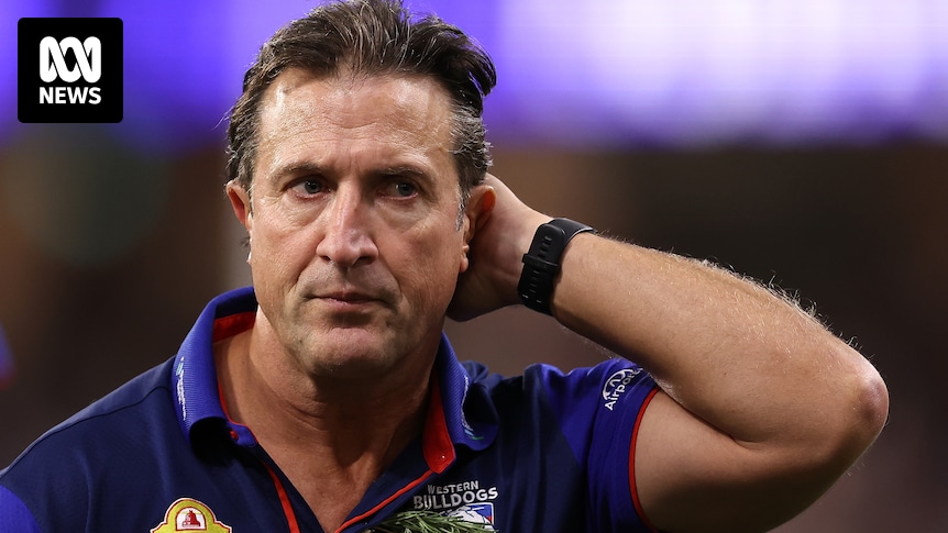 ‘Aggressive and personal’: Bulldogs boss baffled by attacks on Beveridge