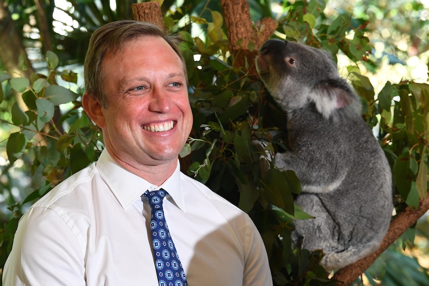 steven miles gives a big smile to media cameras while standing in front of a koala habitat at a sanctuary