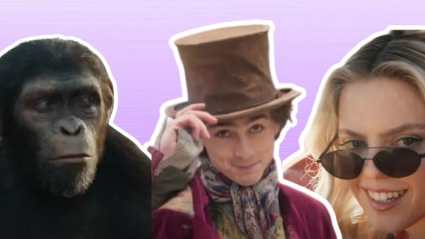 A chimpanzee, next to a man in a hat and a woman wearing sunglasses.