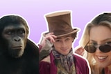 A chimpanzee, next to a man in a hat and a woman wearing sunglasses.