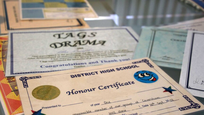 Pictures of merit certificates from school. Names have been blurred out.