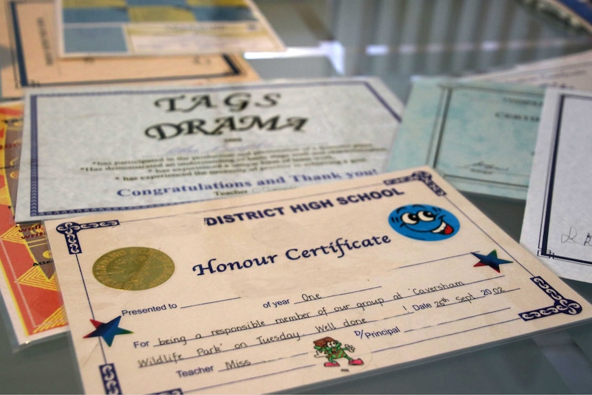 Pictures of merit certificates from school. Names have been blurred out.