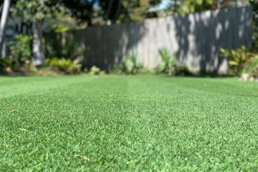 Lawn enthusiasts strive for perfect stripes when they mow their grass.