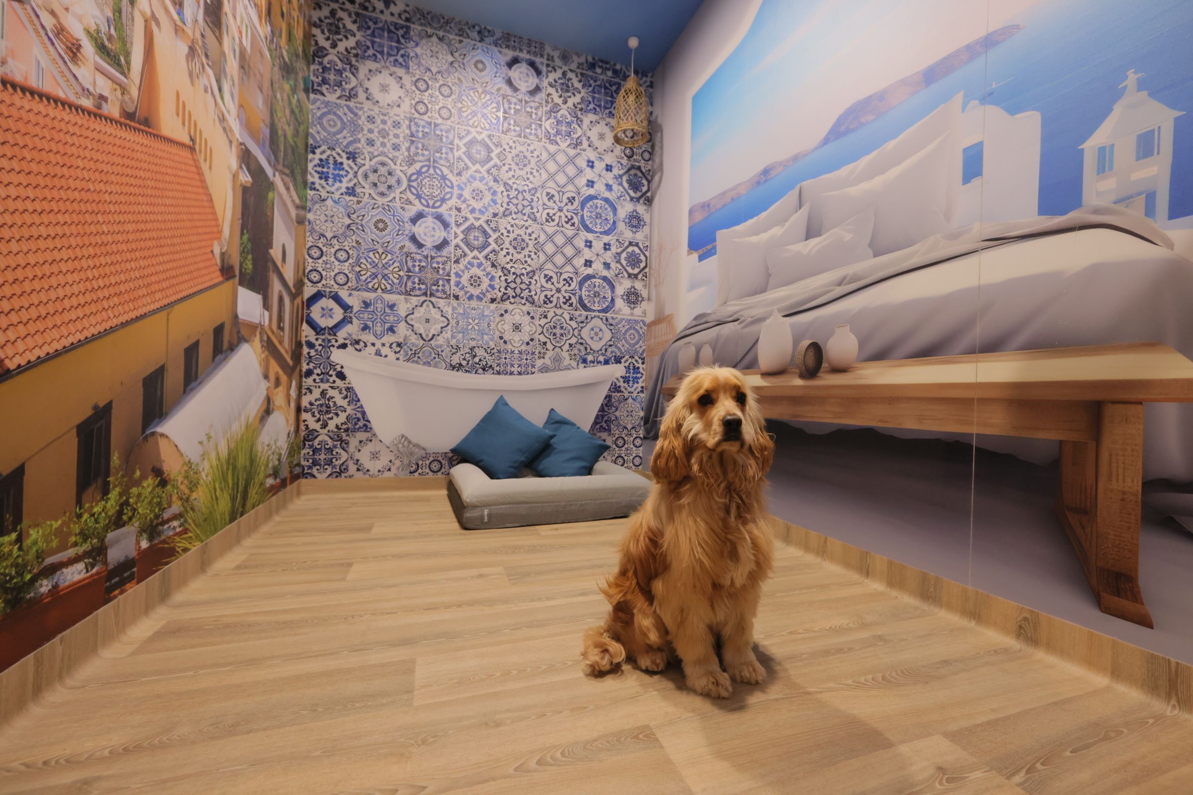 A dog sits in a small room with wallpaper and a dog bed.