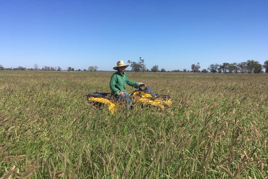 A woman sits on a motorbike in a paddock filled with extremely long grass.
