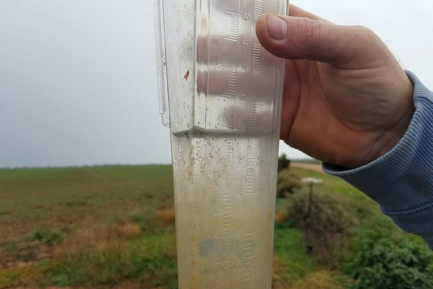 Man holding rain gauge which is almost up to 50mm.