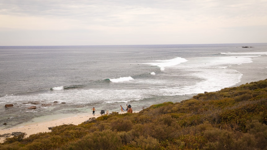 A few surfers testing the waves at a beautiful beach in Gracetown