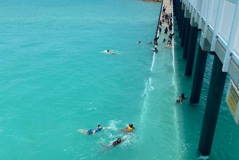 People swimming next to a jetty.