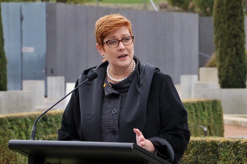 Marise Payne speaks at a podium outside