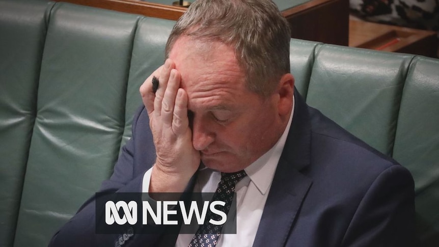 Barnaby Joyce's political career