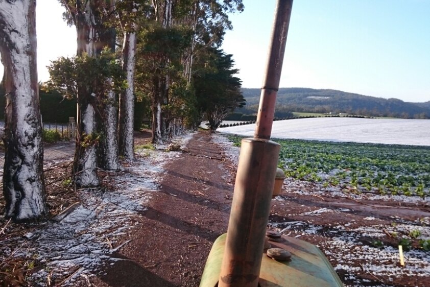 Rare thick snow blanketing the paddocks of north-west Tasmania