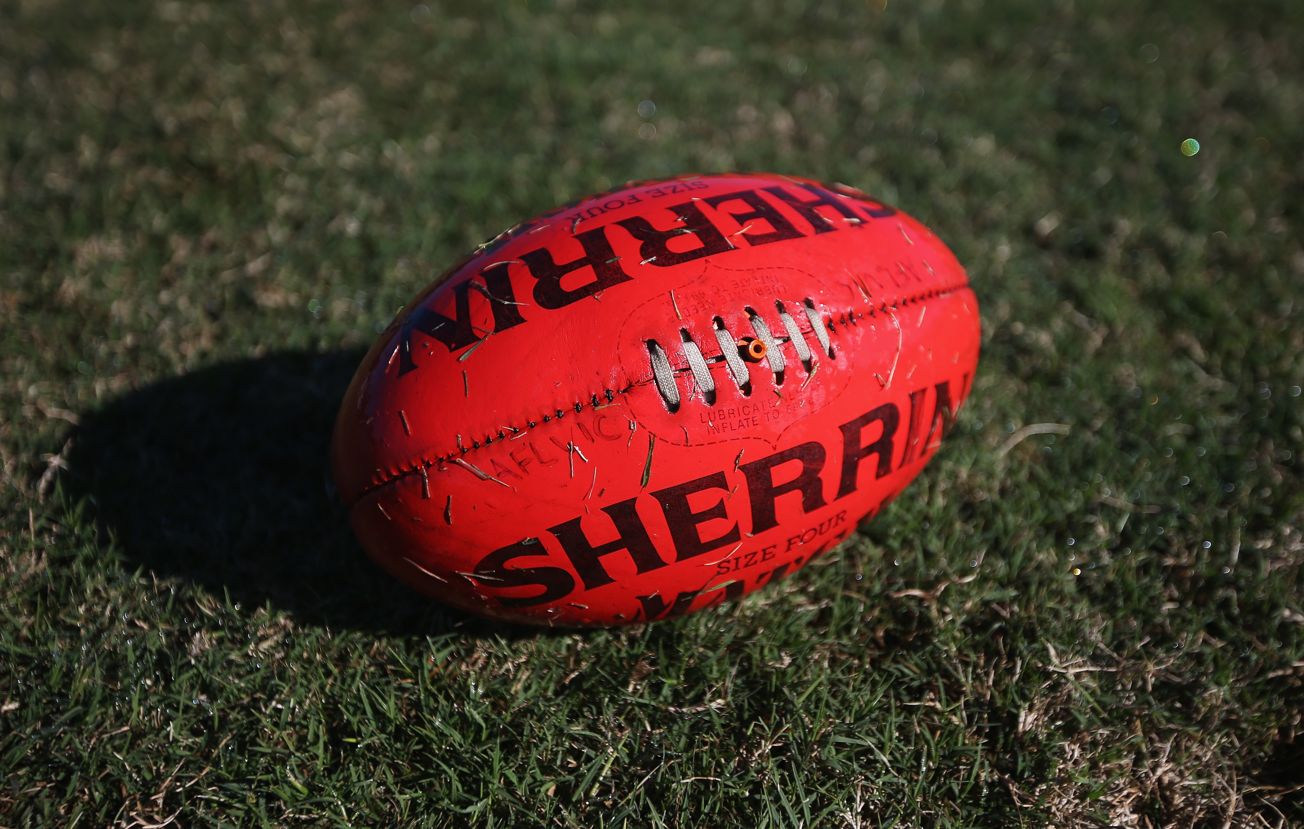 ABC AFL Daily