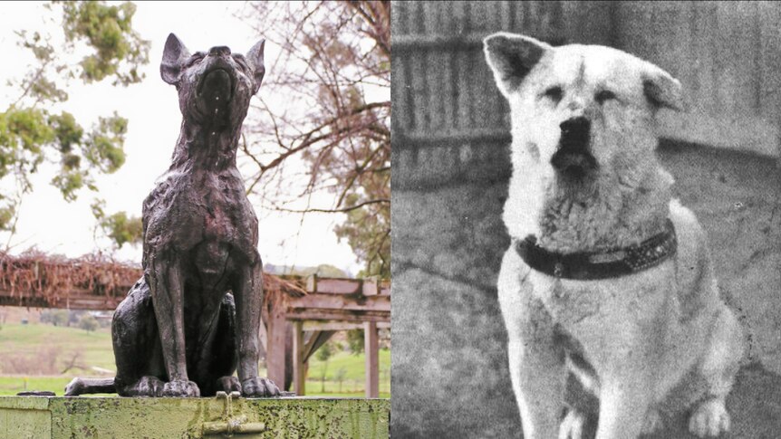 Dog on the Tuckerbox statue and Japan's famous Hachicko pictured in 1935