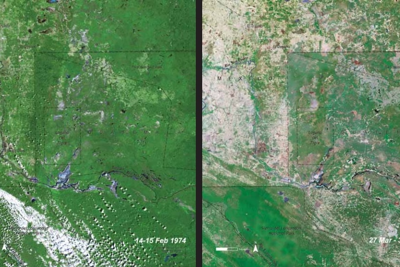 A satellite image shows two images of land between Mexico and Guatemala with significant deforestation on the second image