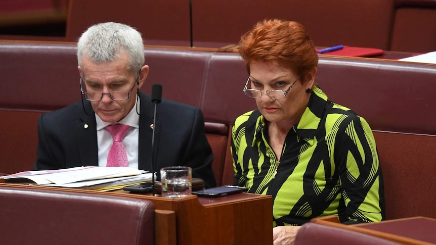 One Nation senators Pauline Hanson and Malcolm Roberts look stern during a Senate debate.