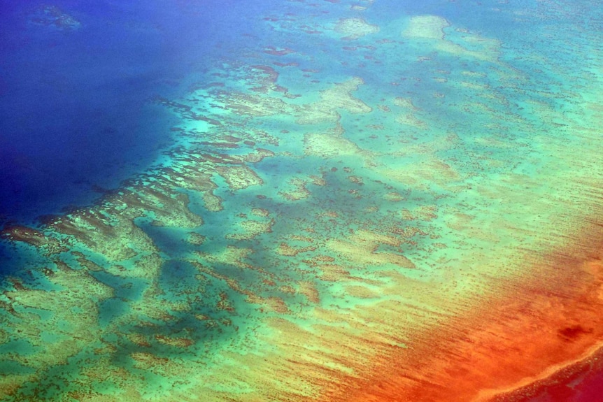 Aerial view of water over reef grading from dark to light blue.