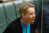Ley sits at the Opposition front bench in the house of representatives, shouting at someone across the aisle.