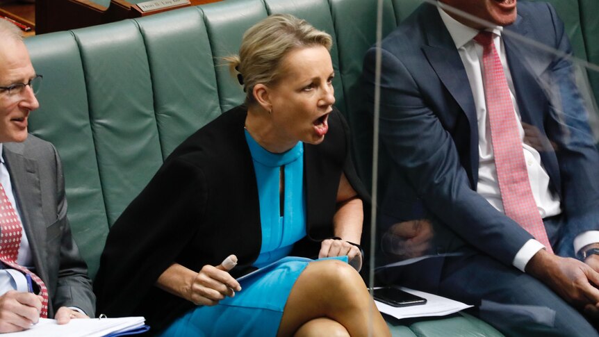 Ley sits at the Opposition front bench in the house of representatives, shouting at someone across the aisle.
