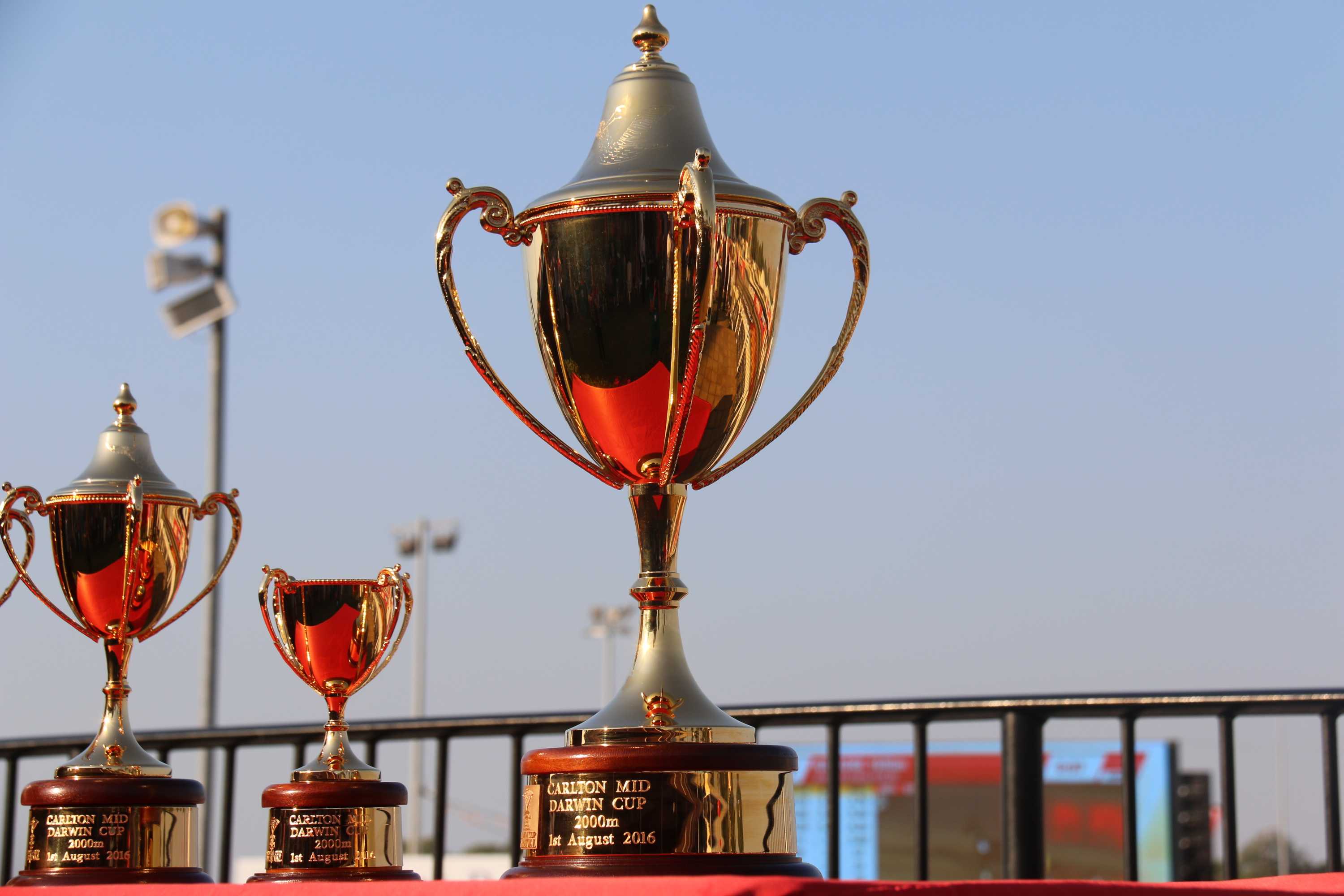 Darwin Cup celebrated with pageantry and a surprising win ABC News