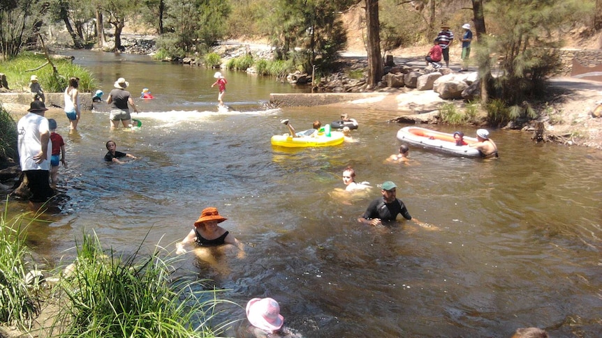 Swimmers at the Cotter Avenue recreation area.