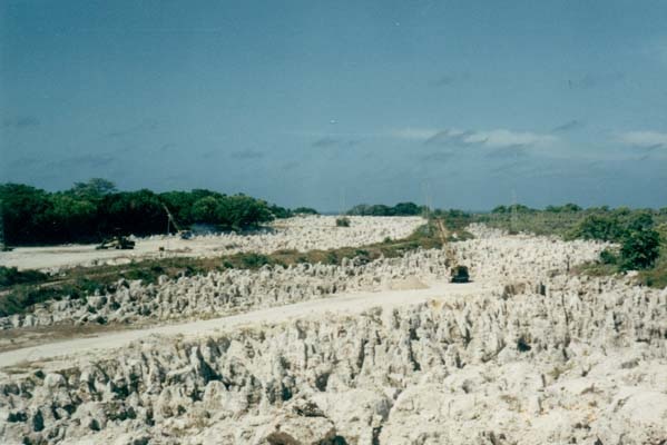 Nauru phosphate fields