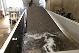 A conveyor-like structure with a grim looking liquid running down it.