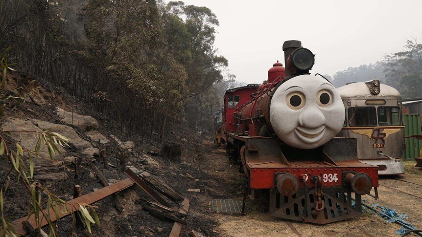 A train engine with a face on its front next to burnt bushland.