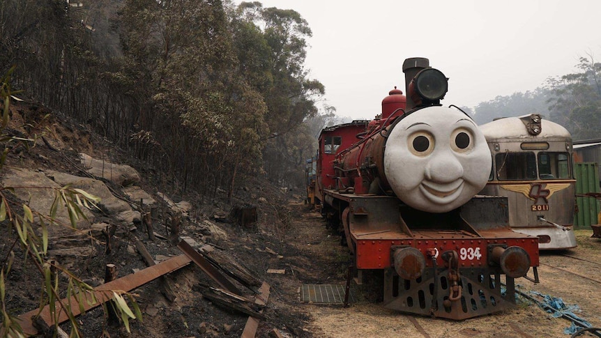 A train engine with a face on its front next to burnt bushland.