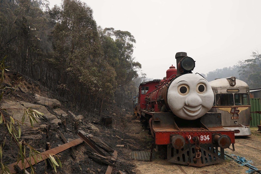 A train engine with a face on its front next to burnt bushland.