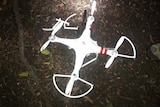 Small drone that crashed into the White House