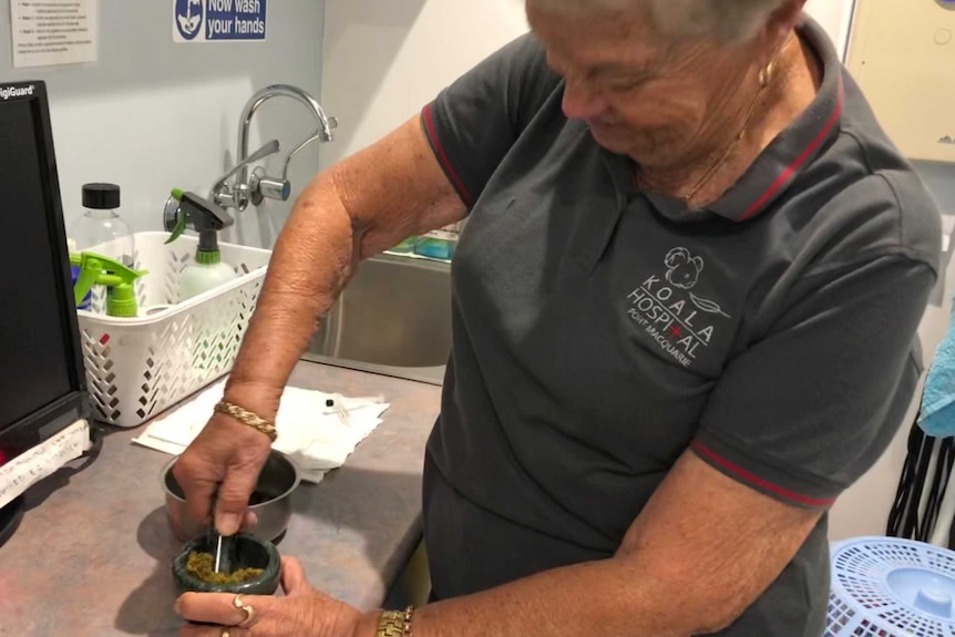 A lady grinds up koala poo using a mortar and pestle.