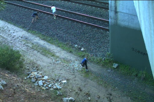 Trespassers on train tracks at Warnervale