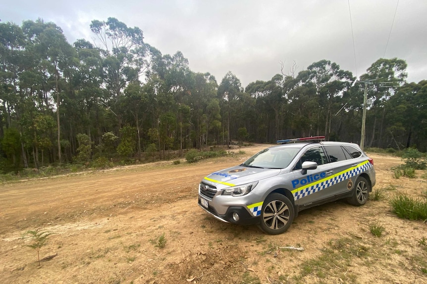 A police car at the side of a dirt bush road