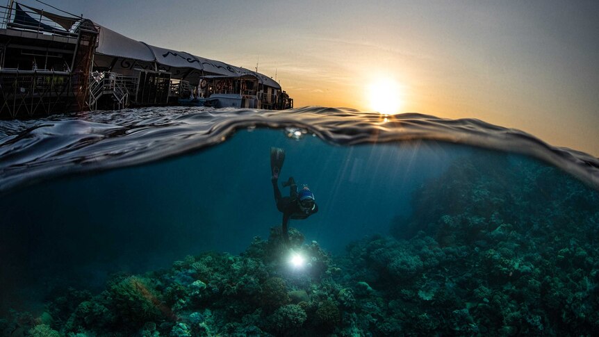 A shot of a pontoon at sunset with a scuba diver underwater above a coral reef.