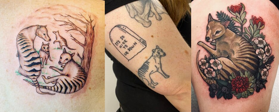 Thylacine _ triptic _ tattoo