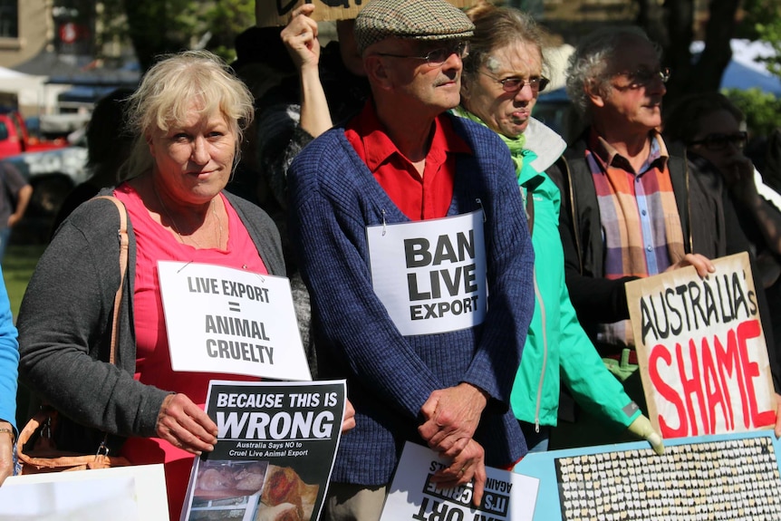 Live export protesters in Hobart, 17 October 2015