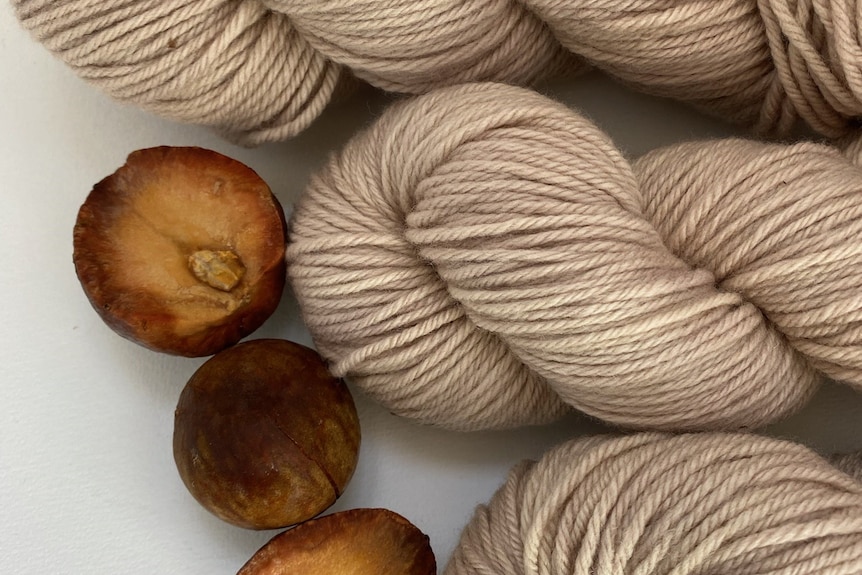 A close up of avocado seeds next to brown wool. 