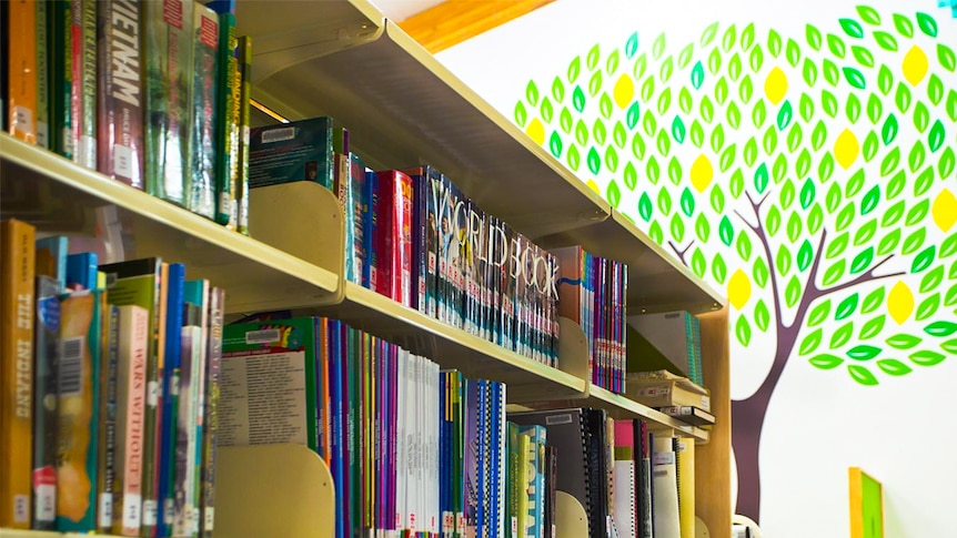 Books lined up on a shelf in a Brisbane library.