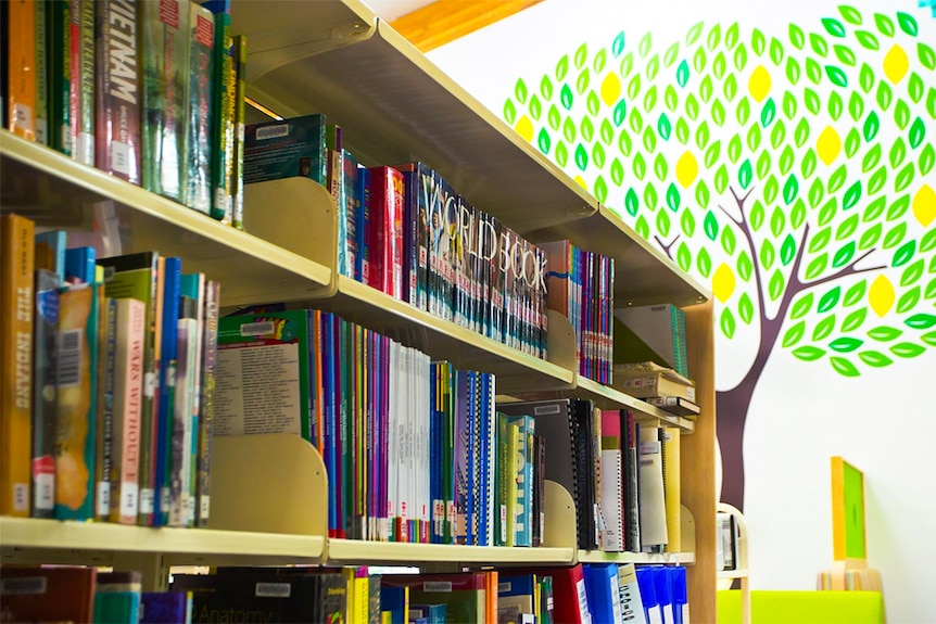 Books lined up on a shelf in a Brisbane library.