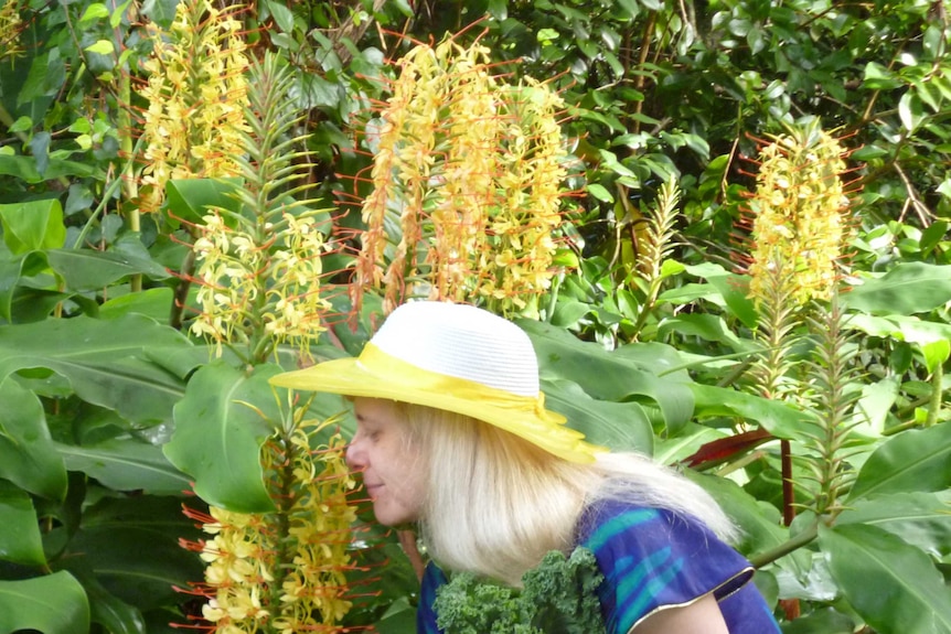 A woman in her garden smelling ginger lilies