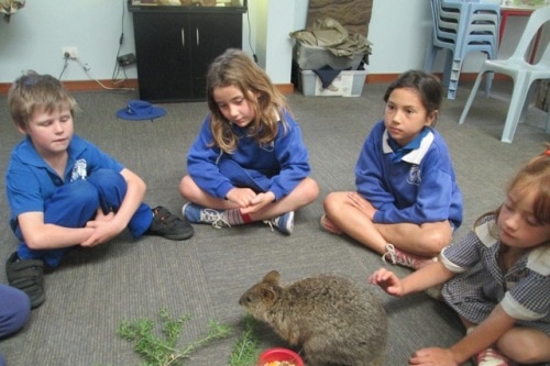 School children at Wirrabara Primary School in South Australia.